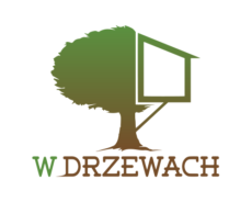 W drzewach